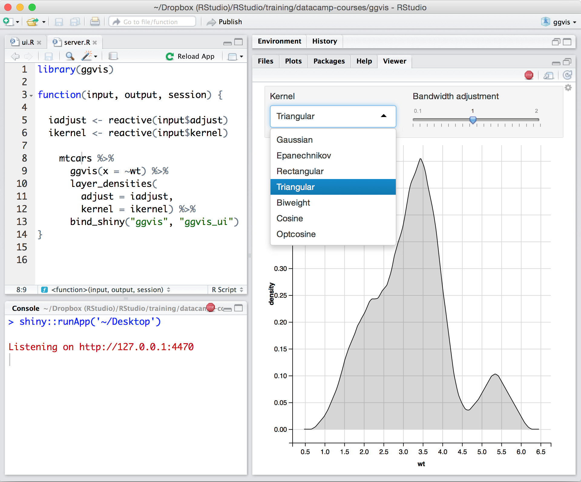 shiny from rstudio